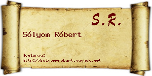 Sólyom Róbert névjegykártya